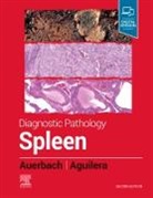 Nadine Aguilera, Aaron Auerbach, Aaron (Senior Hematopathologist Auerbach, Auerbach Aaron - Diagnostic Pathology: Spleen