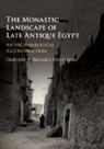 Darlene L. Brooks Hedstrom, Darlene L. (Wittenberg University Brooks Hedstrom - Monastic Landscape of Late Antique Egypt