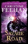 Christine Feehan, Feehan Christine - Savage Road