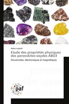 Abbes Labdelli - Etude des propriétés physiques des perovskites-oxydes ABO3