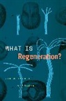 Kate MacCord, Kate Maienschein Maccord, Jane Maienschein, Jane Maccord Maienschein, Maienschein Jane - What Is Regeneration?