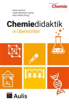 Katri Sommer, Katrin Sommer, Judith Wambach-Laicher, Pete Pfeifer, Peter Pfeifer, Pete Pfeiffer... - Chemiedidaktik in Übersichten