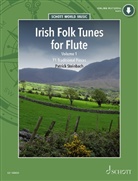 Patrick Steinbach - Irish Folk Tunes for Flute