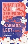 Mariana Leky - What You Can See from Here