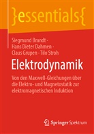 Siegmun Brandt, Siegmund Brandt, Hans Diete Dahmen, Hans Dieter Dahmen, Hans Dieter u a Dahmen, Clau Grupen... - Elektrodynamik