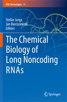 Barciszewski, Barciszewski, Jan Barciszewski, Stefa Jurga, Stefan Jurga - The Chemical Biology of Long Noncoding RNAs