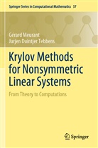 Jurjen Duintjer Tebbens, Gérar Meurant, Gérard Meurant - Krylov Methods for Nonsymmetric Linear Systems