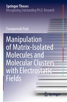 Youngwook Park - Manipulation of Matrix-Isolated Molecules and Molecular Clusters with Electrostatic Fields
