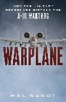 Hal Sundt - Warplane