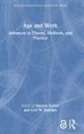 Hannes Rudolph Zacher, Cort W. Rudolph, Hannes Zacher, Zacher Hannes - Age and Work