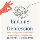 Richard O'Connor, Allan Robertson - Undoing Depression Lib/E: What Therapy Doesn't Teach You and Medication Can't Give You (Audio book)