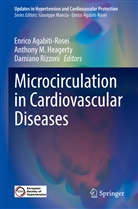 Enrico Agabiti-Rosei, Anthony M. Heagerty, Anthon M Heagerty, Anthony M Heagerty, Damiano Rizzoni - Microcirculation in Cardiovascular Diseases