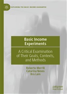 Bru Laín, Robert Merrill, Roberto Merrill, Catarin Neves, Catarina Neves - Basic Income Experiments