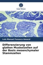 Luis Manuel Fonseca Amaral - Differenzierung von glatten Muskelzellen auf der Basis mesenchymaler Stammzellen