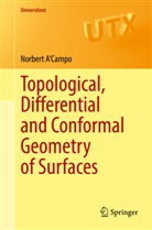 Norbert A'Campo - Topological, Differential and Conformal Geometry of Surfaces