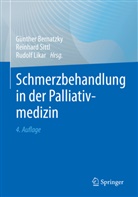 Bernatzky, Günther Bernatzky, Rudolf Likar, Reinhar Sittl, Reinhard Sittl - Schmerzbehandlung in der Palliativmedizin
