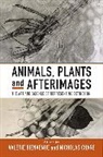 Valerie Chare Bienvenue, Valerie Chare Bienvenue Bienvenue, Valérie Bienvenue, Nicholas Chare, Chare Nicholas - Animals, Plants and Afterimages