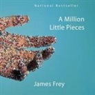James Frey, Oliver Wyman - A Million Little Pieces Lib/E (Audiolibro)