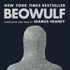 Seamus Heaney - Beowulf Lib/E (Audio book)