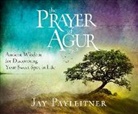 Jay Payleitner - The Prayer of Agur: Ancient Wisdom for Discovering Your Sweet Spot in Life (Audio book)