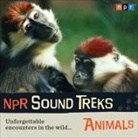 Npr, Jon Hamilton - NPR Sound Treks: Animals: Unforgettable Encounters in the Wild (Audio book)