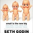 Seth Godin, Seth Godin - Small Is the New Big: And Other Riffs, Rants, and Remarkable Business Ideas (Audio book)