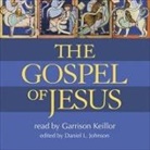 Daniel L. Johnson, Daniel L. Johnson - The Gospel of Jesus (Audio book)