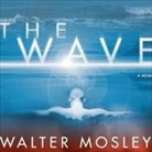 Walter Mosley, Tim Cain - The Wave (Audio book)