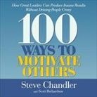 Steve Chandler, Scott Richardson, Steve Chandler - 100 Ways to Motivate Others Lib/E: How Great Leaders Can Produce Insane Results Without Driving People Crazy (Audio book)