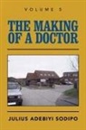 Julius Adebiyi Sodipo - The Making of a Doctor