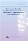 Christian Hecht - Laserspektroskopische Charakterisierung von Reaktionsprozessen zur Gasphasensynthese von Nanopartikeln