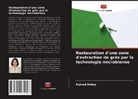Kumud Dubey - Restauration d'une zone d'extraction de grès par la technologie microbienne
