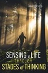 David Boers - Sensing a Life through Stages of Thinking
