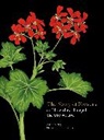 Charlotte Day, Noel Kingsbury, Noel Kinsbury - The Story of Flowers
