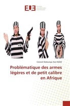 Colonel Abdoulaye Aziz NDAO - Problématique des armes légères et de petit calibre en Afrique