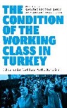 Mehmet Erman Erol, Edgücan &amp;, Ça¿atay Edgücan ¿ahin, Çagatay Edgücan Sahin, Çağatay Edgücan Şahin, Mehmet Erman Erol - The Condition of the Working Class in Turkey