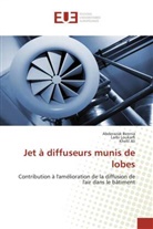 Khelil Ali, Abderazak Bennia, Larbi Loukarfi - Jet à diffuseurs munis de lobes