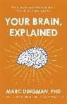 Marc Dingman, Mark Dingman - Your Brain, Explained