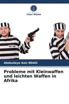 Abdoulaye Aziz NDAO - Probleme mit Kleinwaffen und leichten Waffen in Afrika