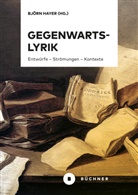 Björ Hayer, Björn Hayer - Gegenwartslyrik