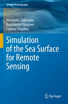 Chaplina, Tatiana Chaplina, Konstanti Pokazeev, Konstantin Pokazeev, Alexande Zapevalov, Alexander Zapevalov - Simulation of the Sea Surface for Remote Sensing