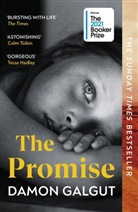 Damon Galgut - The Promise