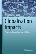 Amitend Palit, Amitendu Palit - Globalisation Impacts