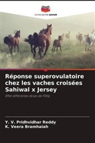 Y. V. Pridhvidhar Reddy, K. Veera bramhaiah - Réponse superovulatoire chez les vaches croisées Sahiwal x Jersey