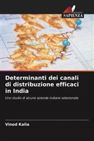 Vinod Kalia - Determinanti dei canali di distribuzione efficaci in India