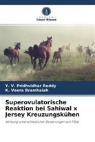 Y Pridhvidhar Reddy, Y V Pridhvidhar Reddy, Y. V. Pridhvidhar Reddy, K Veera bramhaiah, K. Veera bramhaiah - Superovulatorische Reaktion bei Sahiwal x Jersey Kreuzungskühen