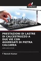 T Naresh Kumar, T. Naresh Kumar - PRESTAZIONI DI LASTRE DI CALCESTRUZZO A DUE VIE CON AGGREGATI DI PIETRA CALCAREA