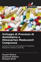 Binapani Barik, Gayatri Behera, Jayashree Behera - Sviluppo di Processo di Amlodipina e Olmesartan Medoxomil Compresse