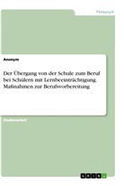 Anonym - Der Übergang von der Schule zum Beruf bei Schülern mit Lernbeeinträchtigung. Maßnahmen zur Berufsvorbereitung