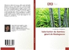 Sonnette Ruffine Rafalimanjaka - Valorisation du Bambou géant de Madagascar